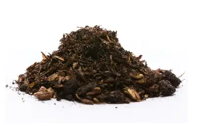 Feedstock